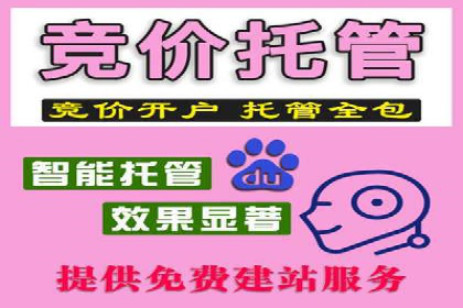 探索百度广告竞价的奥秘：某行业领先企业的投放经验